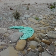 plastic bags, litter, trash, ocean, marine debris